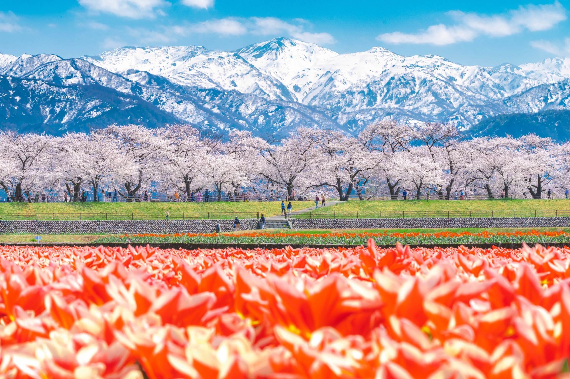 Toyama Local Private Guide